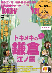 yw11